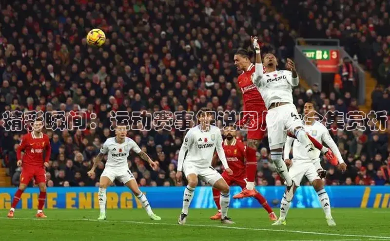 天富测速网页版登录入口百度学术精彩瞬间：运动赛事解说图片大全集赏析