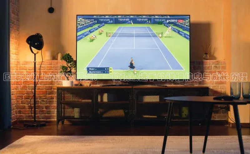 天富在线登录观星盘国际赛场上闪耀的明星：一位顶级选手的详细信息与成长历程