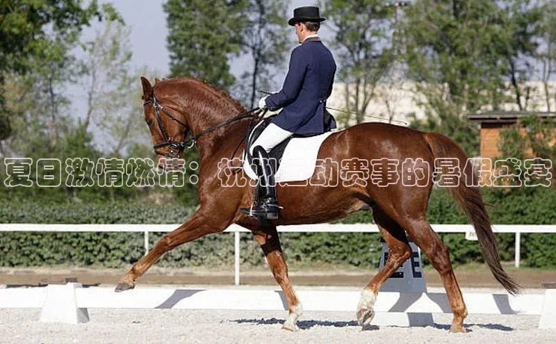 天富注册连接路畅科技夏日激情燃情：杭州运动赛事的暑假盛宴