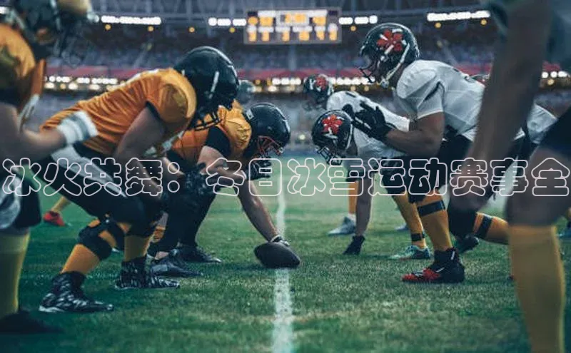 冰火共舞：冬日冰雪运动赛事全