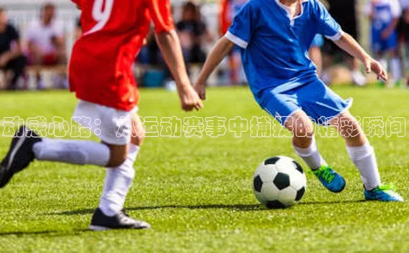 动感心路：从运动赛事中捕捉的精彩瞬间