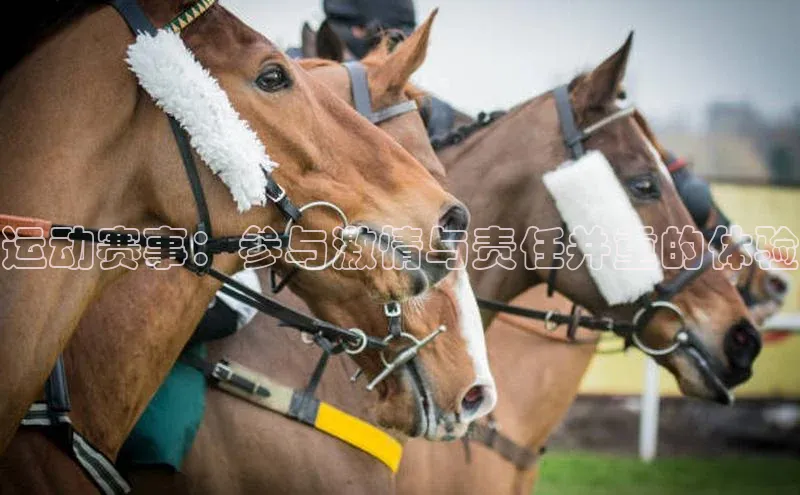 运动赛事：参与激情与责任并重的体验
